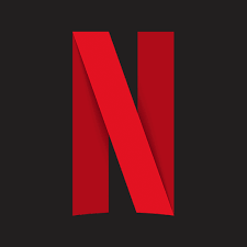 Netflix 4 Screen Private